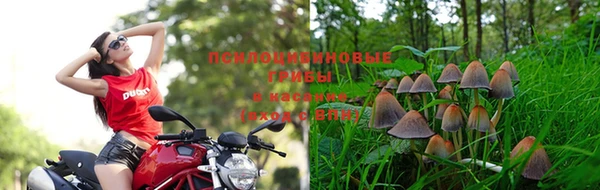 прущая мука Липки