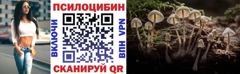 Галлюциногенные грибы Psilocybine cubensis  Купить  Тюмень 